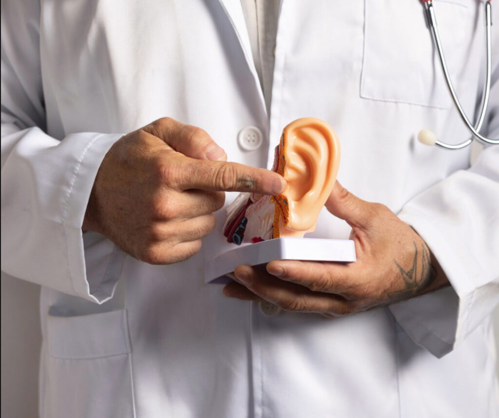 bild på läkare som pekar på öra