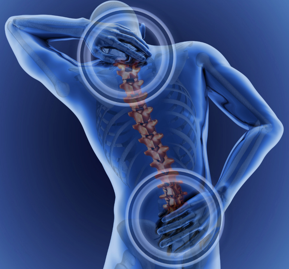 röntgen med bild på ryggen