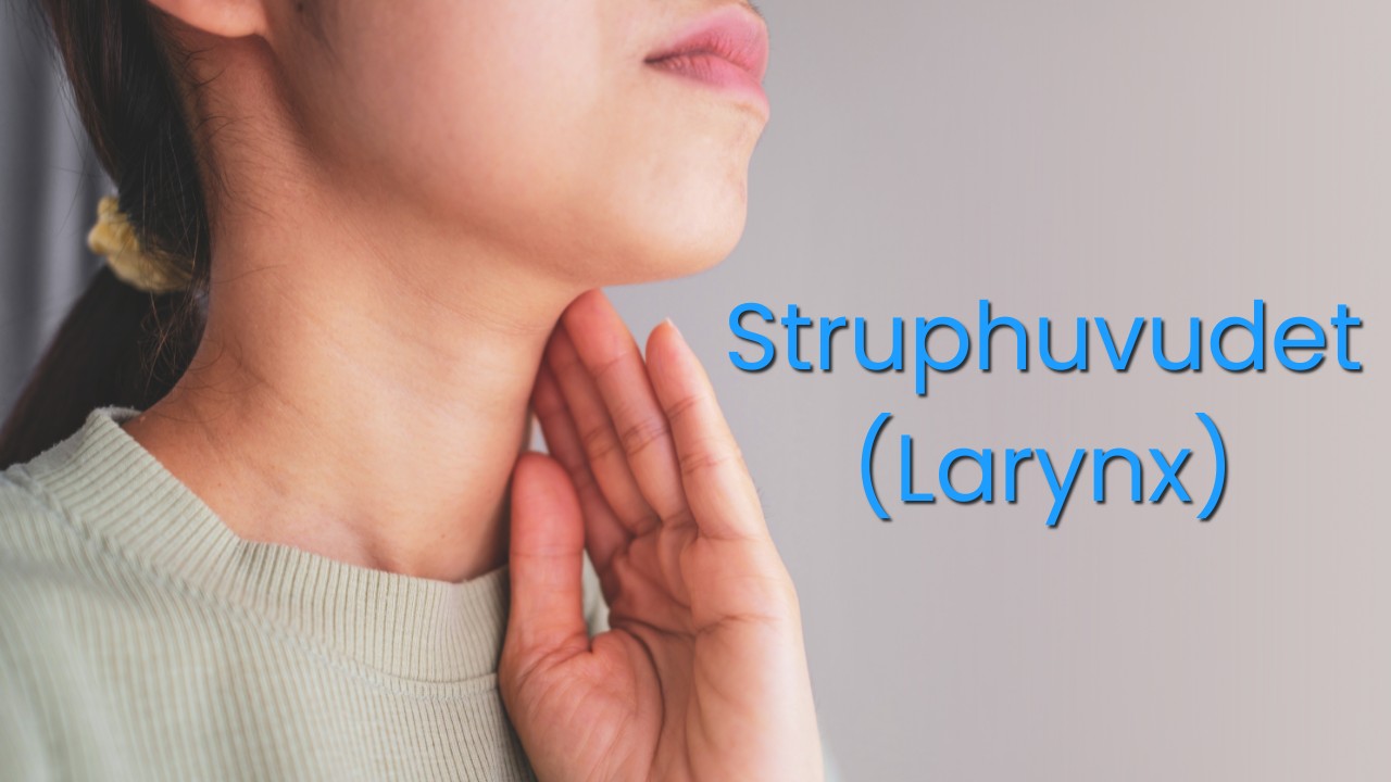 struphuvudet (larynx) thumbnail