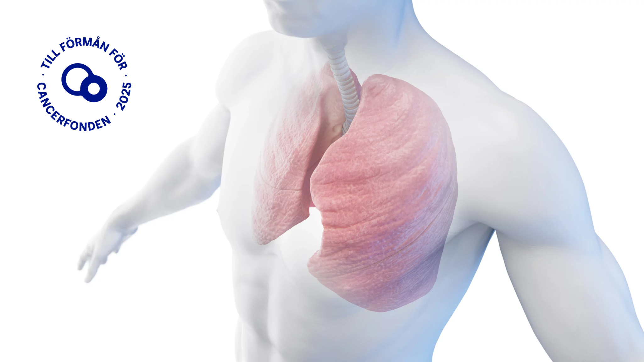 dt lungor thorax produktbild med cancerlogga