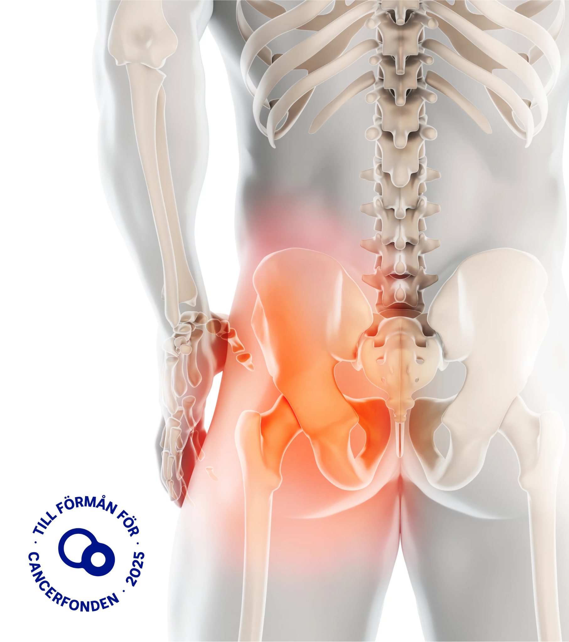 mr-backen-gyn produktbild med cancerlogga