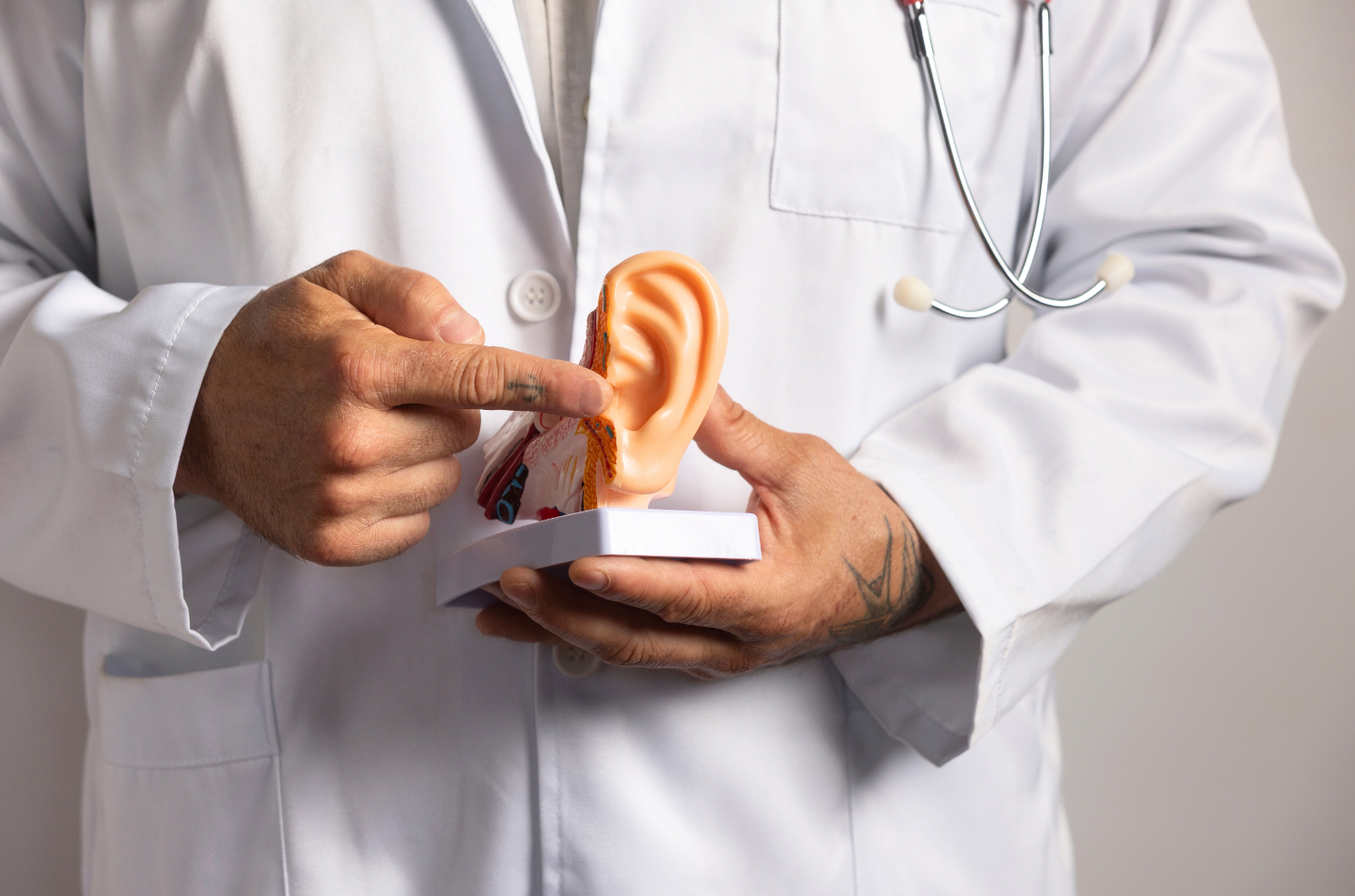 Doktor visar upp ett öra