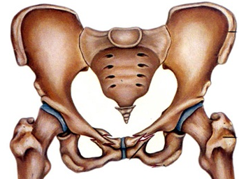 Lilla Bäckenet, Bäckenet, Lilla bäckenet magnetröntgen
