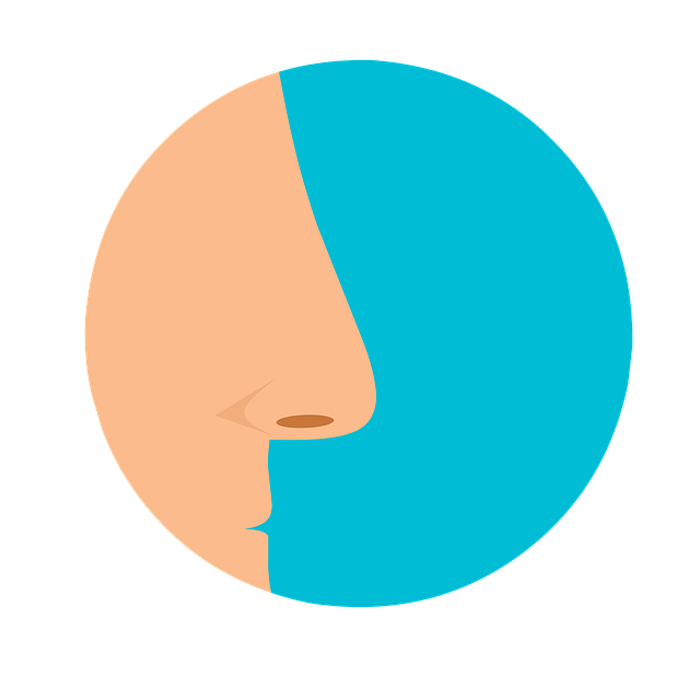 Bihåleinflammation, Bihålor, Näsa, MR, Magnetlabbet.