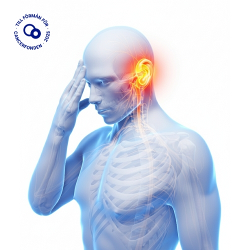 MR öron produktbild