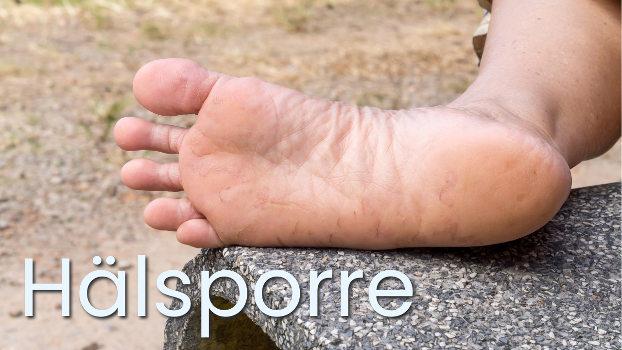 hälsporre thumbnail