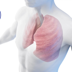 dt lungor thorax cf 2026