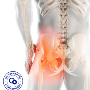 mr backen gyn cf 2026